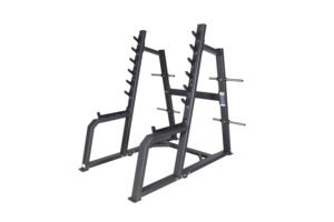 AF 4442 SQUAT RACK