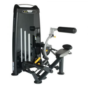 EWS 173 Lower Back Extension