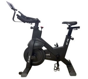 AF 198 Spin Bike